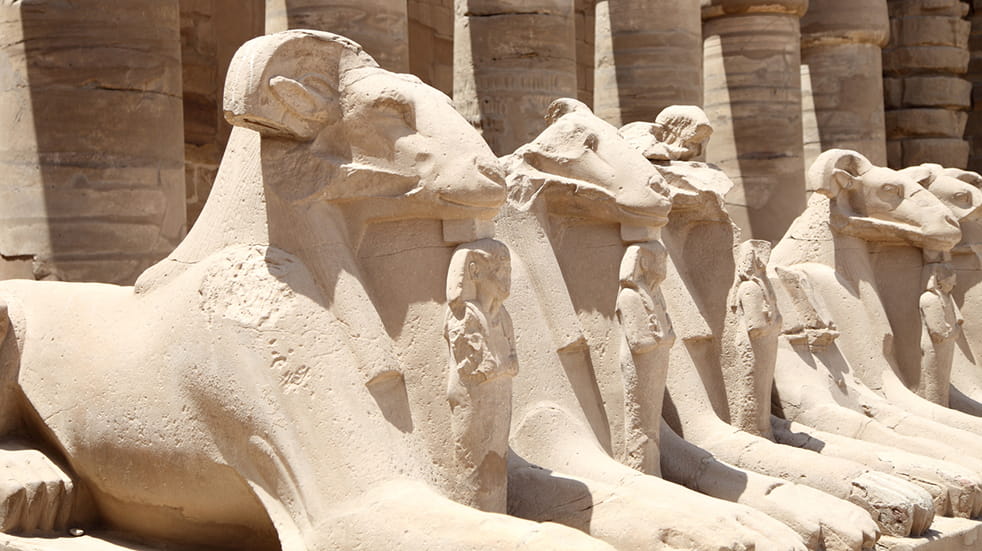 Expert guide to the Nile: the Luxor Museum